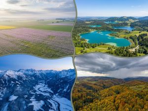Aerial view of Germany showing four seasonal landscapes: spring lilac fields, summer turquoise lakes, autumn golden forests, winter snowy mountains